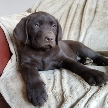 Buster