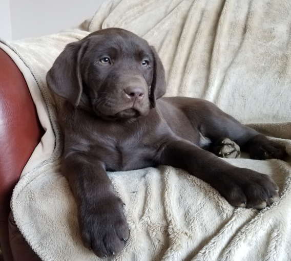 Buster